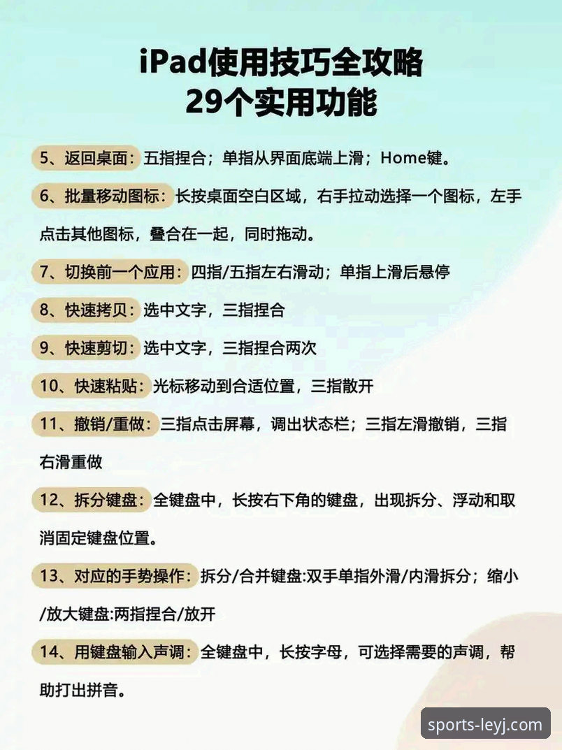 乐竞体育APP好不好用 乐竞体育平台使用体验完整指南:从下载到畅享赛事的新手攻略